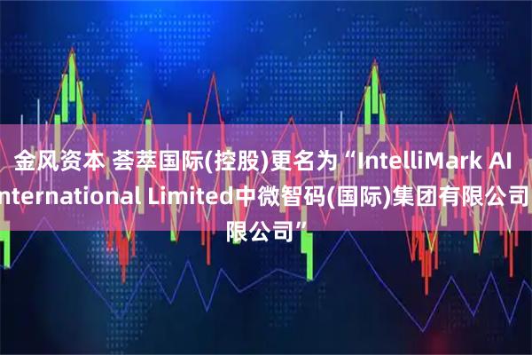 金风资本 荟萃国际(控股)更名为“IntelliMark AI International Limited中微智码(国际)集团有限公司”