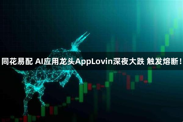 同花易配 AI应用龙头AppLovin深夜大跌 触发熔断！