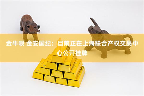 金牛呗 金安国纪：目前正在上海联合产权交易中心公开挂牌